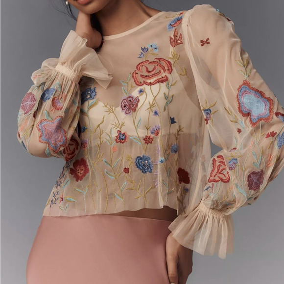 Anthropologie Tops - Anthropologie The Layla Long-Sleeve Appliqué Mesh Blouse